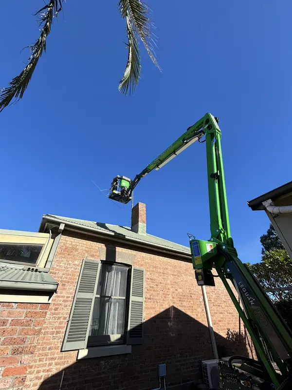 Starlink Installation — Apex Aerial Services Hunter Valley