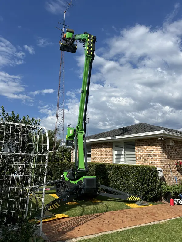 Large aerial mast removal — residential property