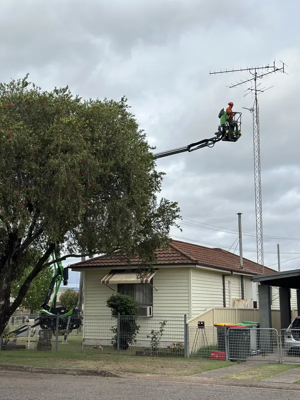 Signal Testing — Apex Aerial Services Hunter Valley
