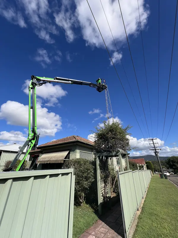 Large antenna mast removal — EWP reaching over residential fence